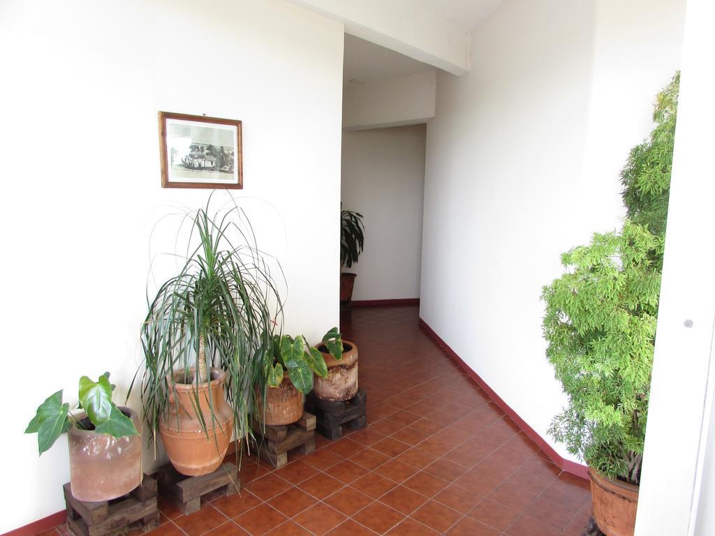 Hotel Puerto Piedra Puerto Escondido Kültér fotó